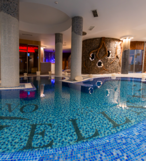 სპა & ველნესი || (სამუშაო დღეები)