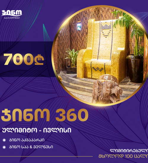 Gino 360 — ულიმიტო ივლისი მხოლოდ 700₾-ად!