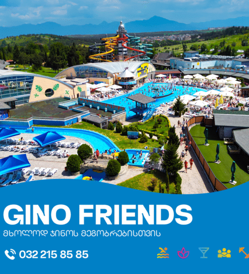 Gino’s Friends