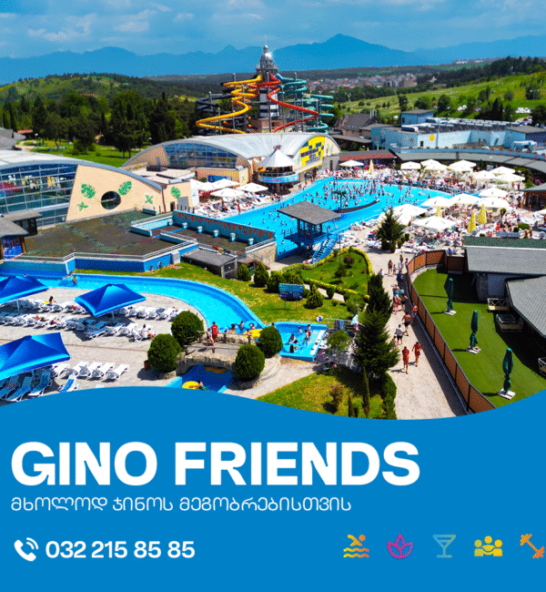 Gino Friends