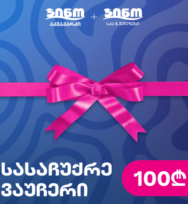 Gift voucher to Gino Aquapark - 100GEL