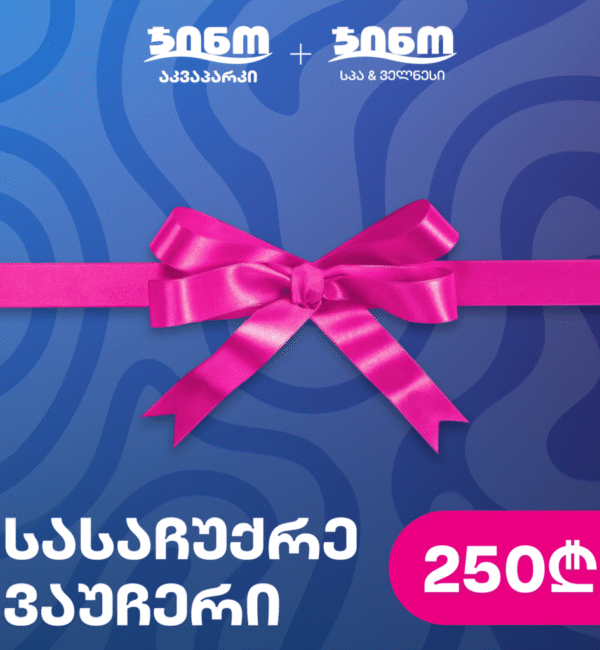 Gift voucher to Gino Aquapark 250GEL