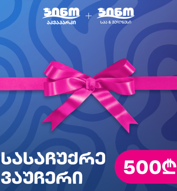 Gift voucher to Gino Aquapark 500GEL