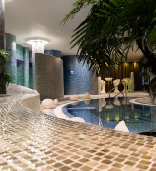 სპა & ველნესი 2 სტუმარი