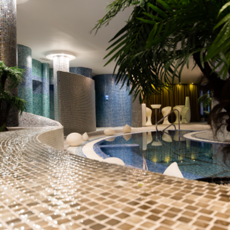 სპა და ველნესის ერთთვიანი აბონიმენტი